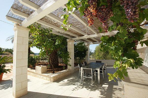 Villa-natalino-terrasse-weintrauben