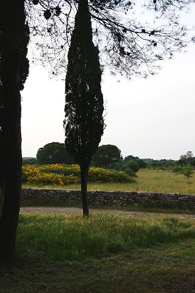 Portoselvaggio-weg zur bucht