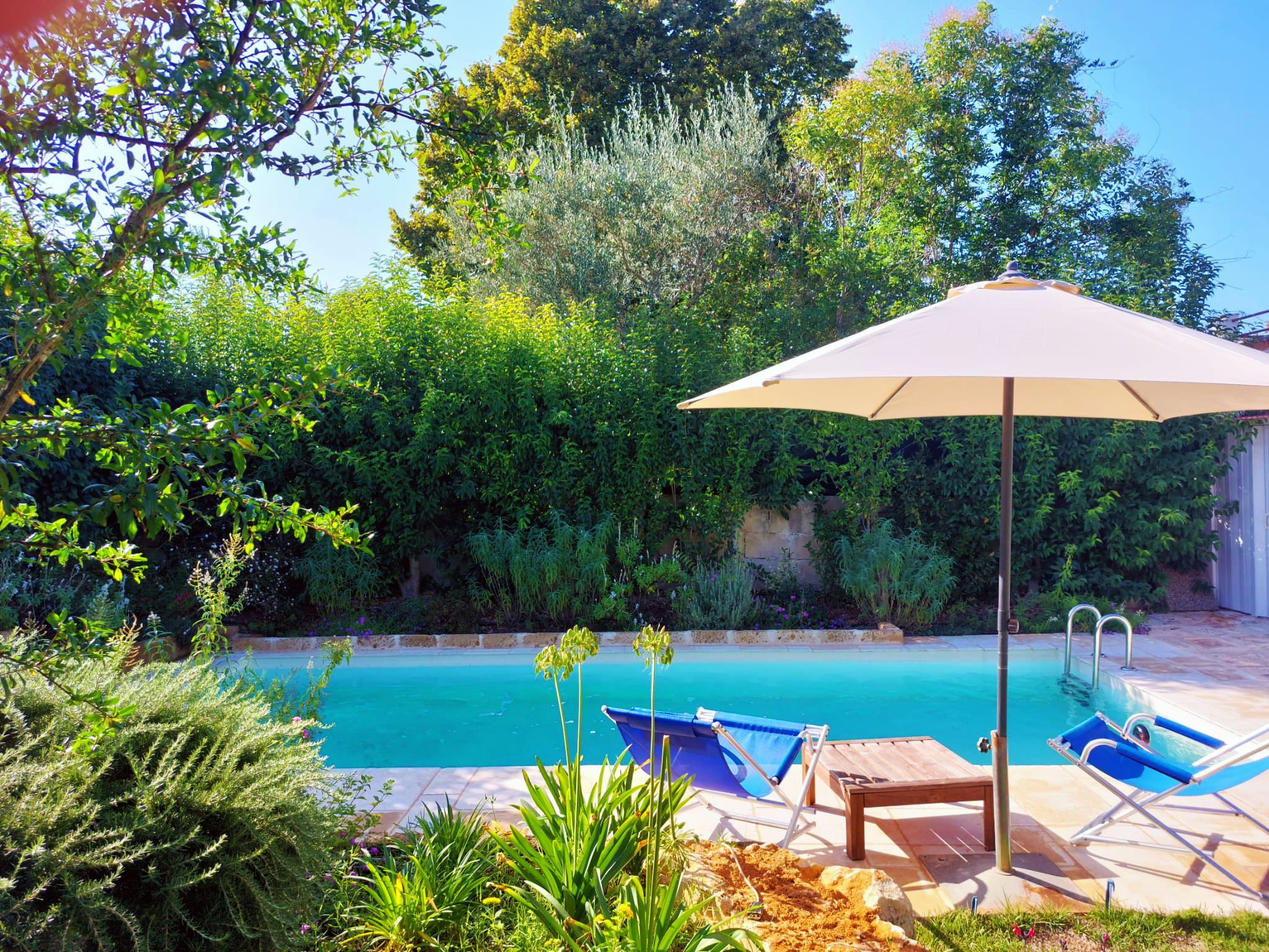 Piscina NEU