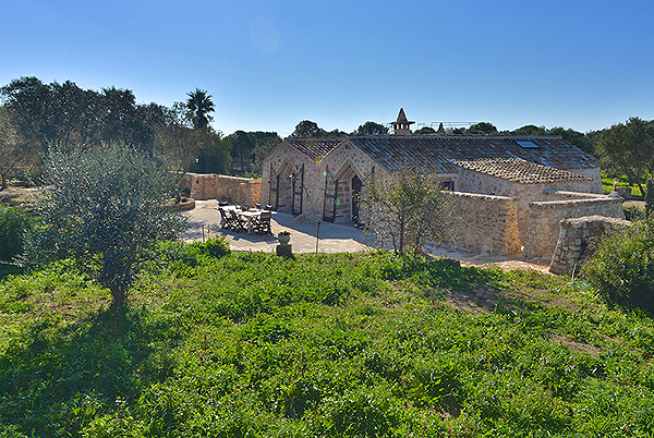 Pajara-im grünen