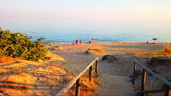 Strand-campo-marino