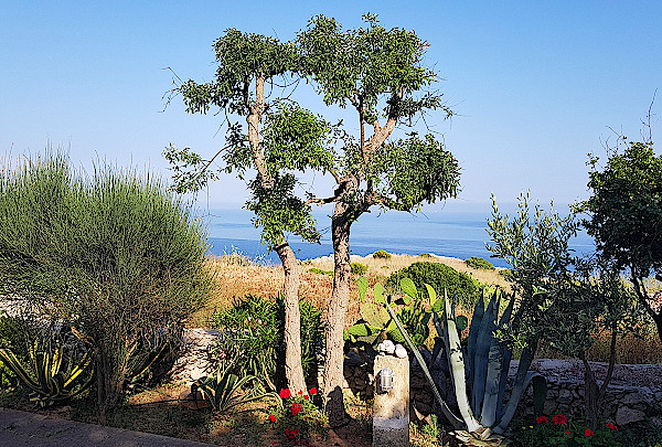 Casa-finis-terrae-aussicht-neu