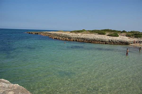 Costa merlata