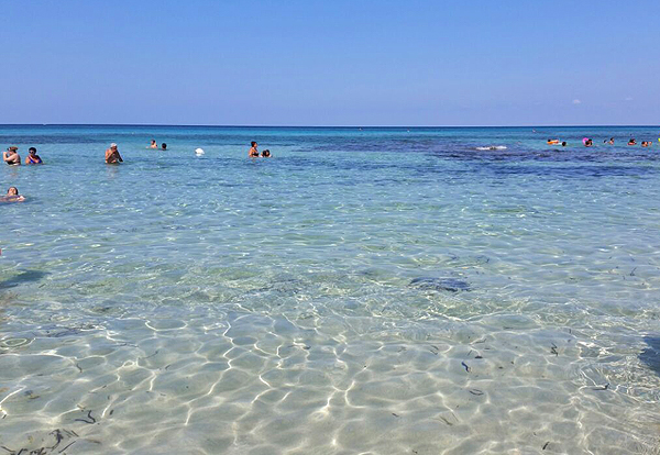 Mosaiche-meer
