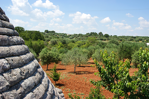 Trullo-del-nonno-grundstück