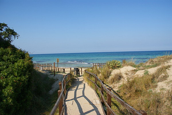 Lido-bosco-verde