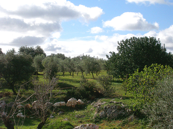 Villa-agreste-landschaft