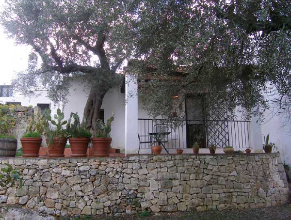 Villa-agreste-luna-terrasse