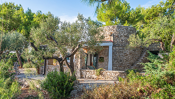 Pajara-augusto-haus