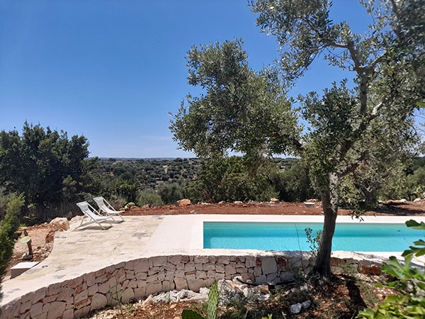 Piscina 8